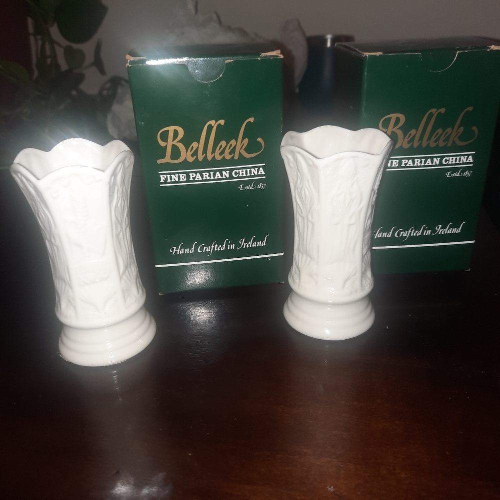 Belleek Irish China